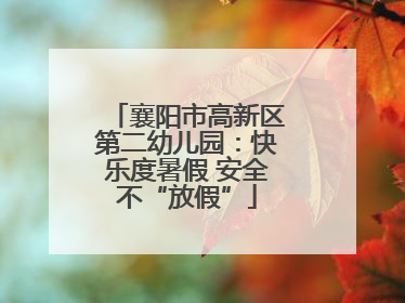 襄阳市高新区第二幼儿园：快乐度暑假 安全不“放假”