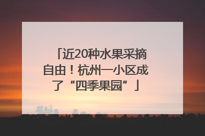 近20种水果采摘自由！杭州一小区成了“四季果园”