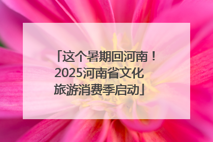这个暑期回河南！2025河南省文化旅游消费季启动
