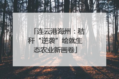 连云港海州：秸秆“逆袭”绘就生态农业新画卷