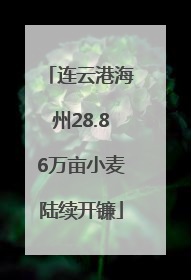 连云港海州28.86万亩小麦陆续开镰