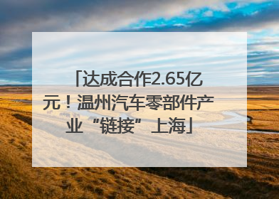 达成合作2.65亿元！温州汽车零部件产业“链接”上海