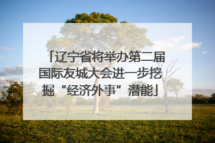 辽宁省将举办第二届国际友城大会进一步挖掘“经济外事”潜能