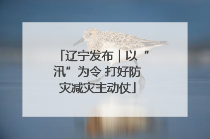 辽宁发布｜以“汛”为令 打好防灾减灾主动仗