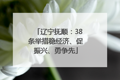 辽宁抚顺：38条举措稳经济、促振兴、勇争先