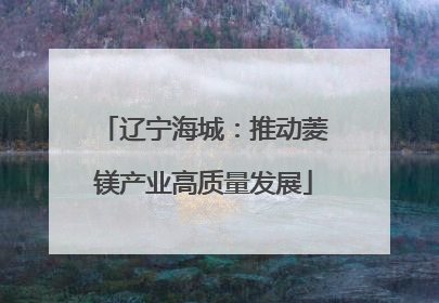 辽宁海城：推动菱镁产业高质量发展