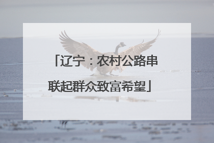 辽宁：农村公路串联起群众致富希望