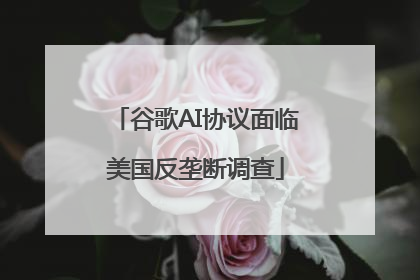 谷歌AI协议面临美国反垄断调查