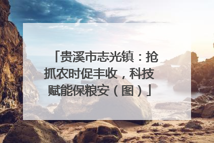 贵溪市志光镇：抢抓农时促丰收，科技赋能保粮安（图）
