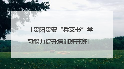 贵阳贵安“兵支书”学习能力提升培训班开班