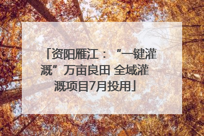 资阳雁江：“一键灌溉”万亩良田 全域灌溉项目7月投用