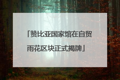 赞比亚国家馆在自贸雨花区块正式揭牌