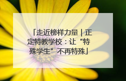 走近榜样力量｜正定特教学校：让“特殊学生”不再特殊
