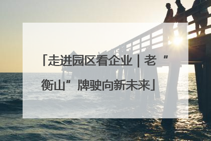 走进园区看企业｜老“衡山”牌驶向新未来