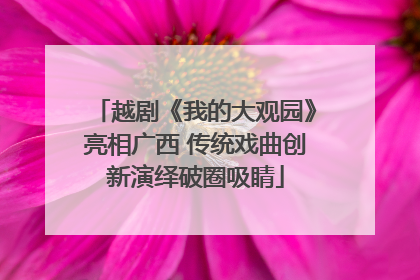 越剧《我的大观园》亮相广西 传统戏曲创新演绎破圈吸睛