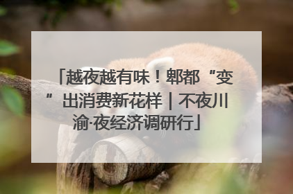 越夜越有味！郫都“变”出消费新花样｜不夜川渝·夜经济调研行