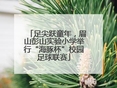 足尖跃童年，眉山彭山实验小学举行“海豚杯”校园足球联赛