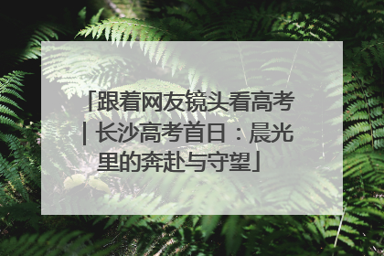 跟着网友镜头看高考｜长沙高考首日：晨光里的奔赴与守望