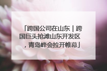 跨国公司在山东｜跨国巨头抢滩山东开发区，青岛峰会拉开帷幕