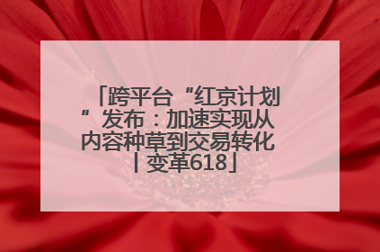跨平台“红京计划”发布：加速实现从内容种草到交易转化丨变革618