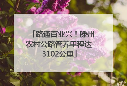 路通百业兴！滕州农村公路管养里程达3102公里