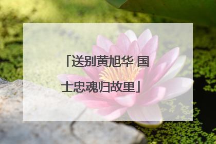 送别黄旭华 国士忠魂归故里
