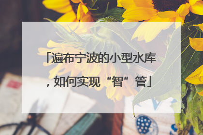遍布宁波的小型水库，如何实现“智”管