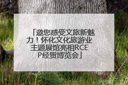 邀您感受文旅新魅力！怀化文化旅游业主题展馆亮相RCEP经贸博览会