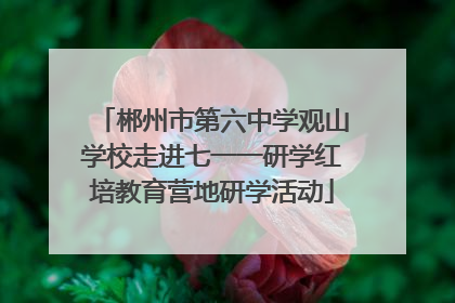 郴州市第六中学观山学校走进七一一研学红培教育营地研学活动