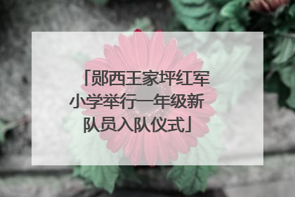 郧西王家坪红军小学举行一年级新队员入队仪式