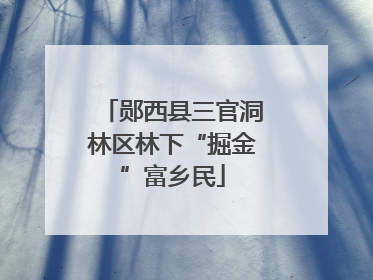 郧西县三官洞林区林下“掘金”富乡民