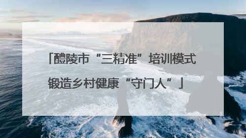 醴陵市“三精准”培训模式锻造乡村健康“守门人”