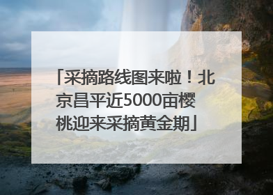 采摘路线图来啦！北京昌平近5000亩樱桃迎来采摘黄金期
