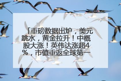 重磅数据出炉，美元跳水，黄金拉升！中概股大涨！英伟达涨超4%，市值重返全球第一！黄仁勋计划出售至多600万股股票