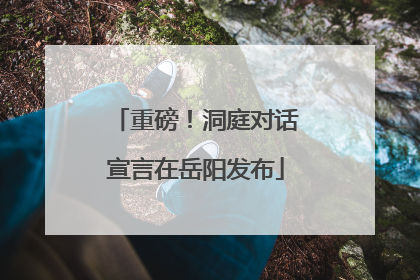重磅！洞庭对话宣言在岳阳发布