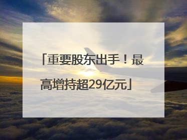 重要股东出手！最高增持超29亿元
