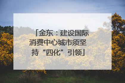 金东：建设国际消费中心城市须坚持“四化”引领