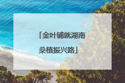 金叶铺就湖南桑植振兴路