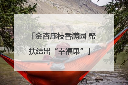 金杏压枝香满园 帮扶结出“幸福果”