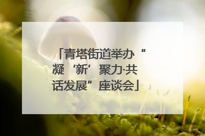 青塔街道举办“凝‘新’聚力·共话发展”座谈会