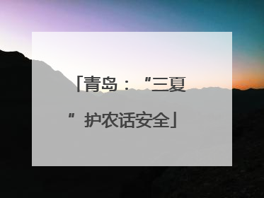 青岛：“三夏”护农话安全