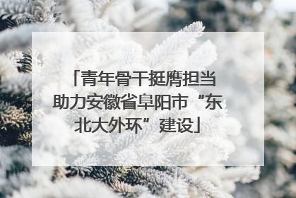 青年骨干挺膺担当 助力安徽省阜阳市“东北大外环”建设