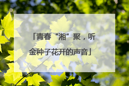 青春“湘”聚，听金种子花开的声音