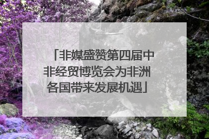 非媒盛赞第四届中非经贸博览会为非洲各国带来发展机遇