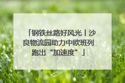 钢铁丝路好风光丨沙良物流园助力中欧班列跑出“加速度”