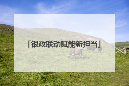 银政联动赋能新担当
