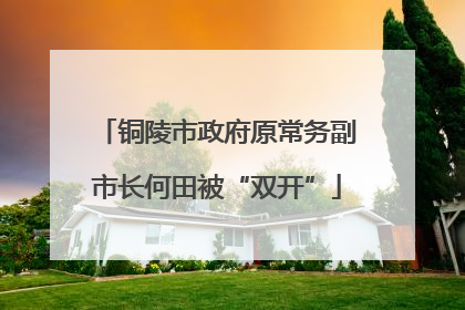铜陵市政府原常务副市长何田被“双开”