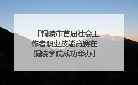 铜陵市首届社会工作者职业技能竞赛在铜陵学院成功举办