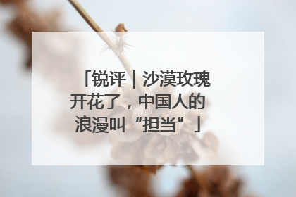 锐评｜沙漠玫瑰开花了，中国人的浪漫叫“担当”