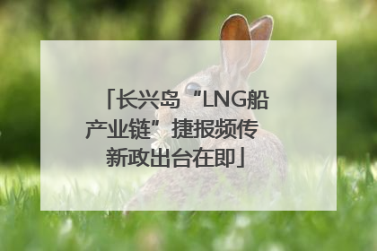 长兴岛“LNG船产业链”捷报频传 新政出台在即